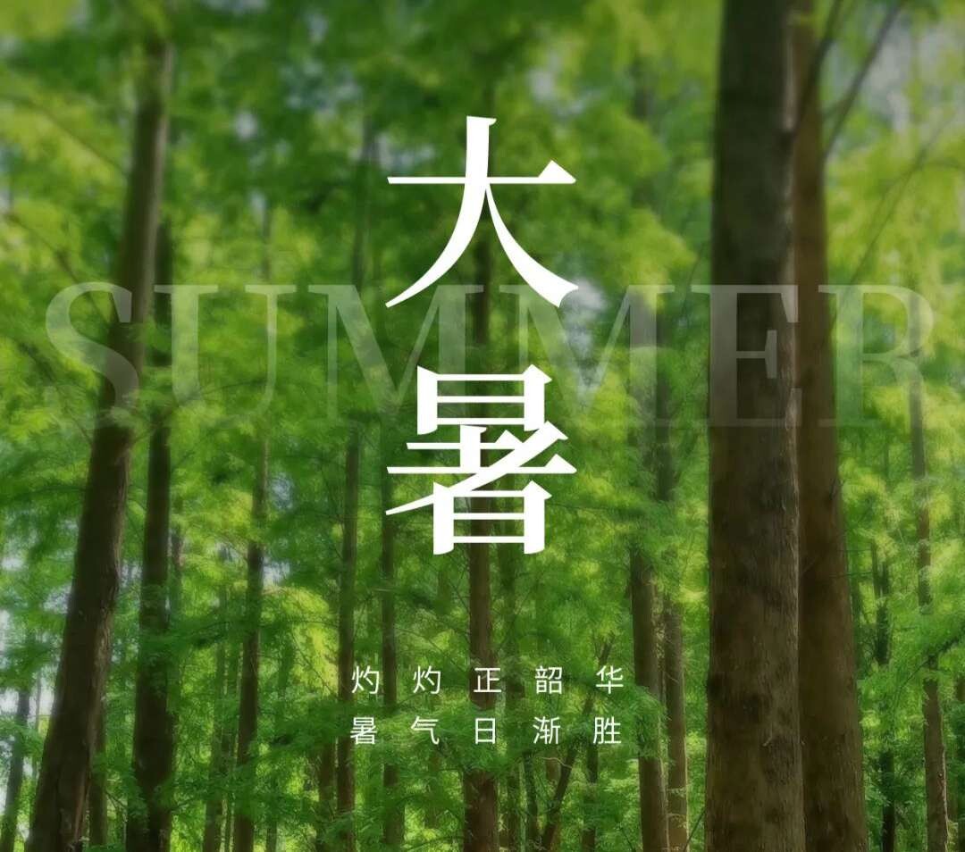 大暑已至夏最濃