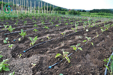 drip irrigation systems
