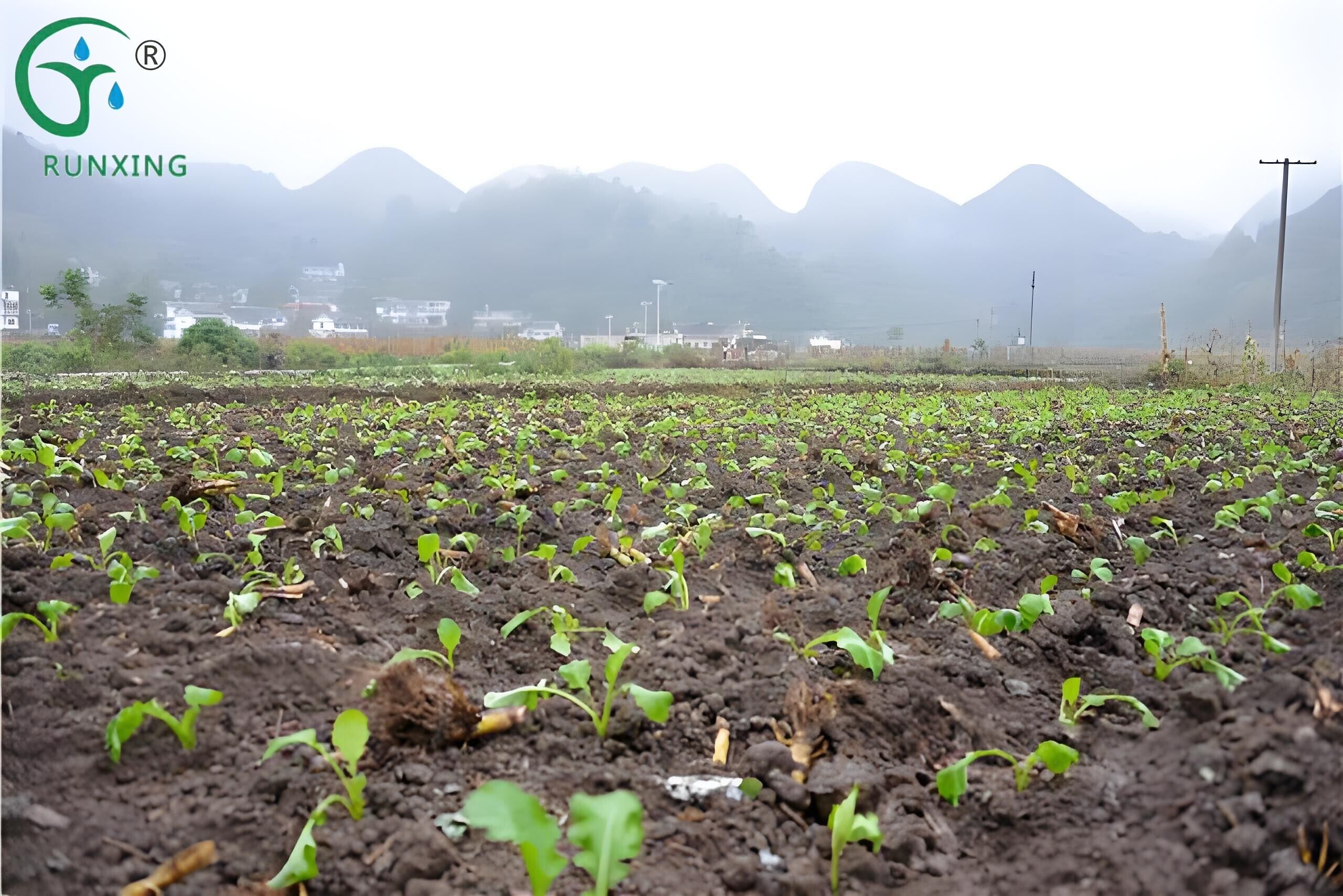 drip irrigation systems
