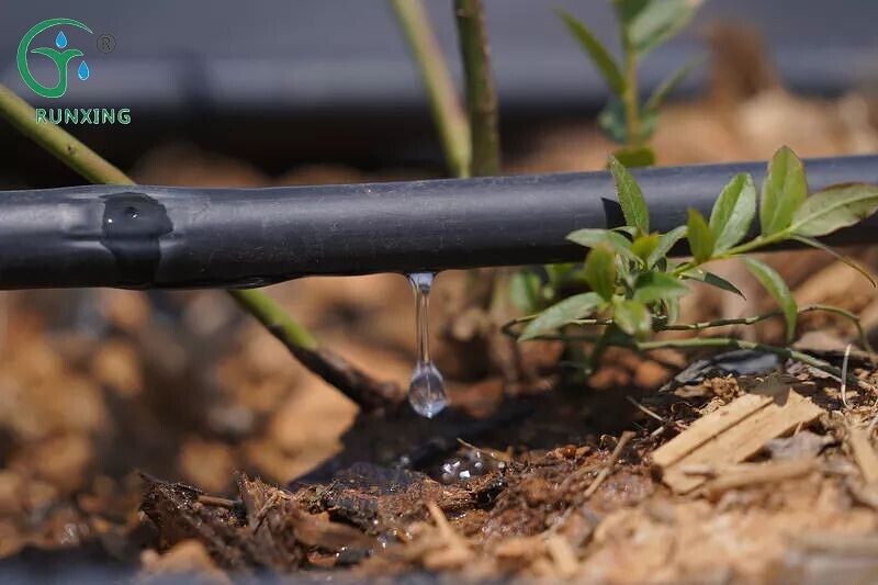 drip irrigation facilities