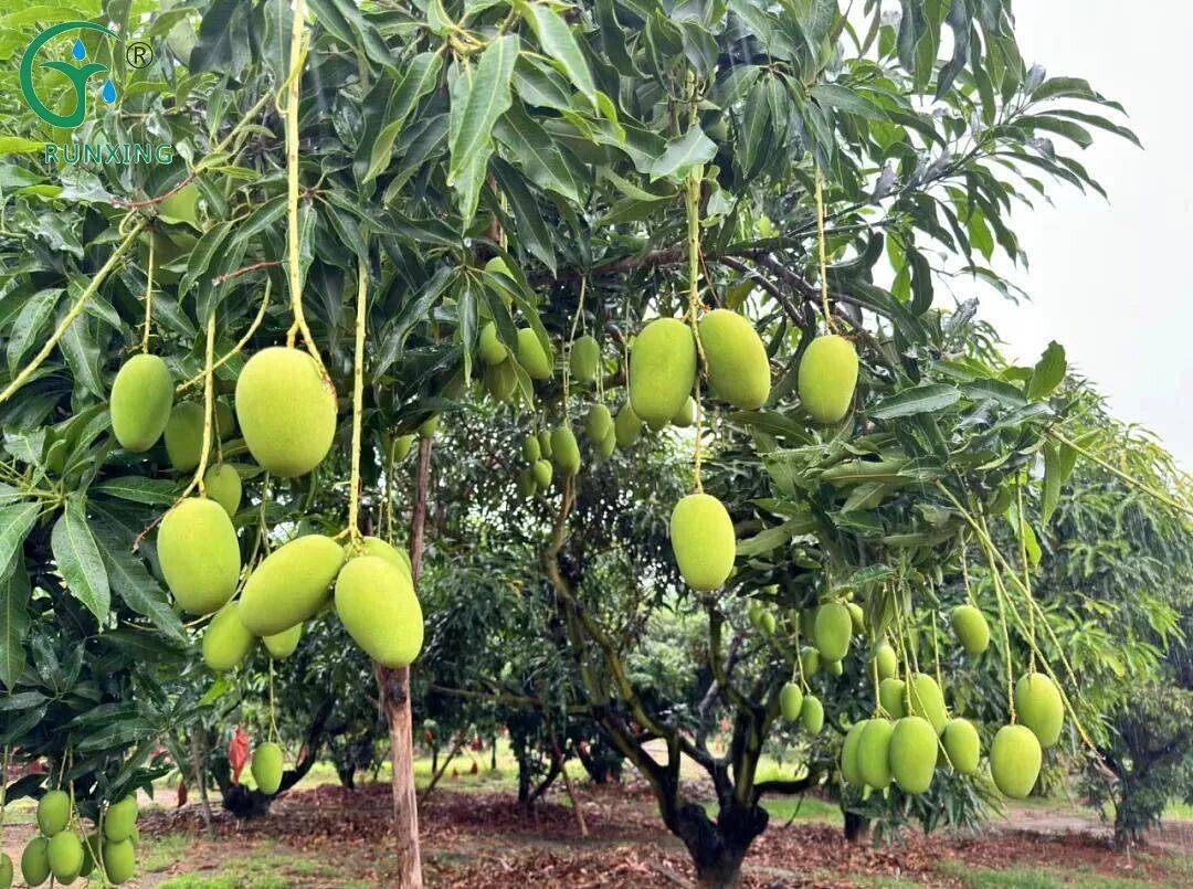 drip irrigation technology