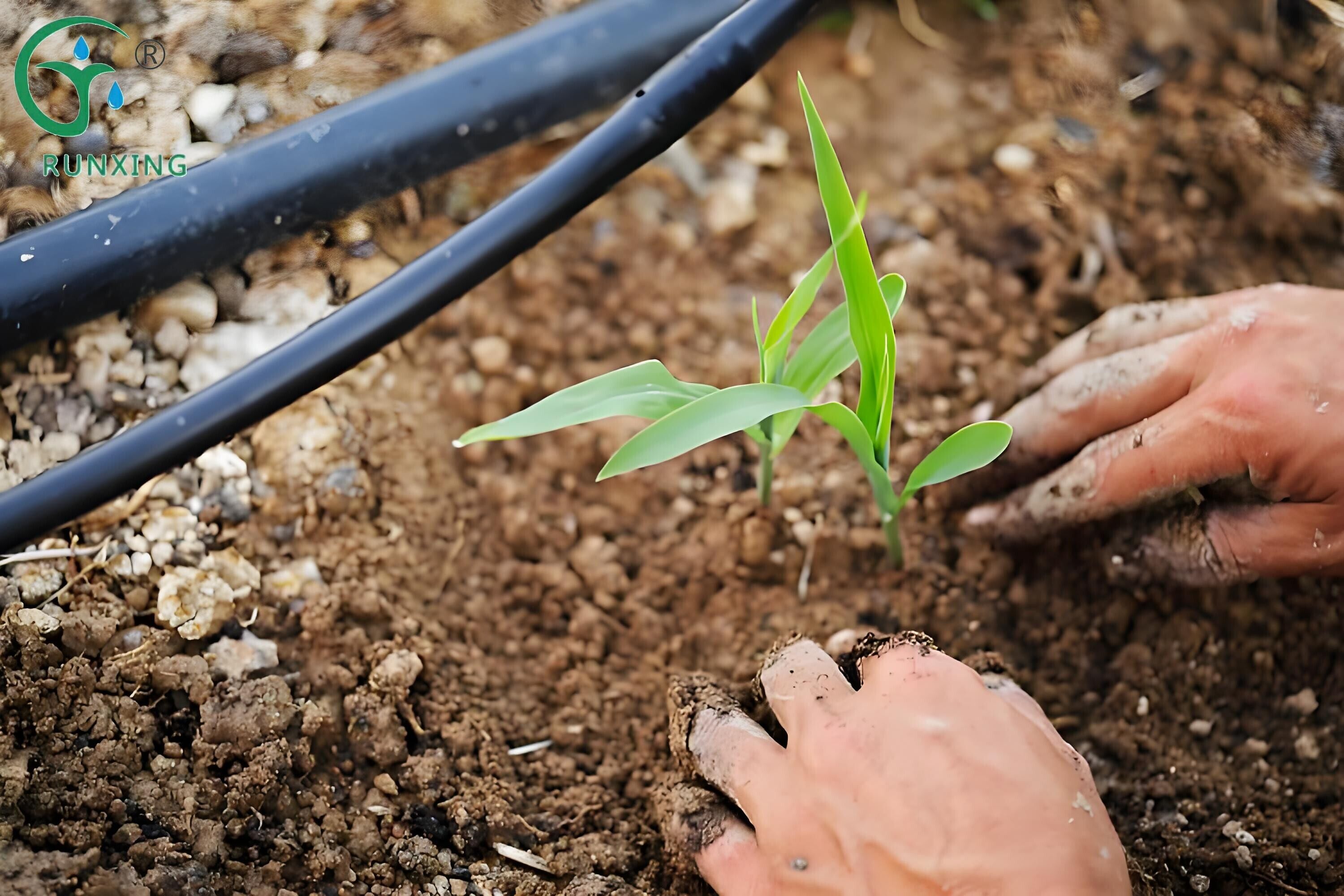 drip irrigation facilities