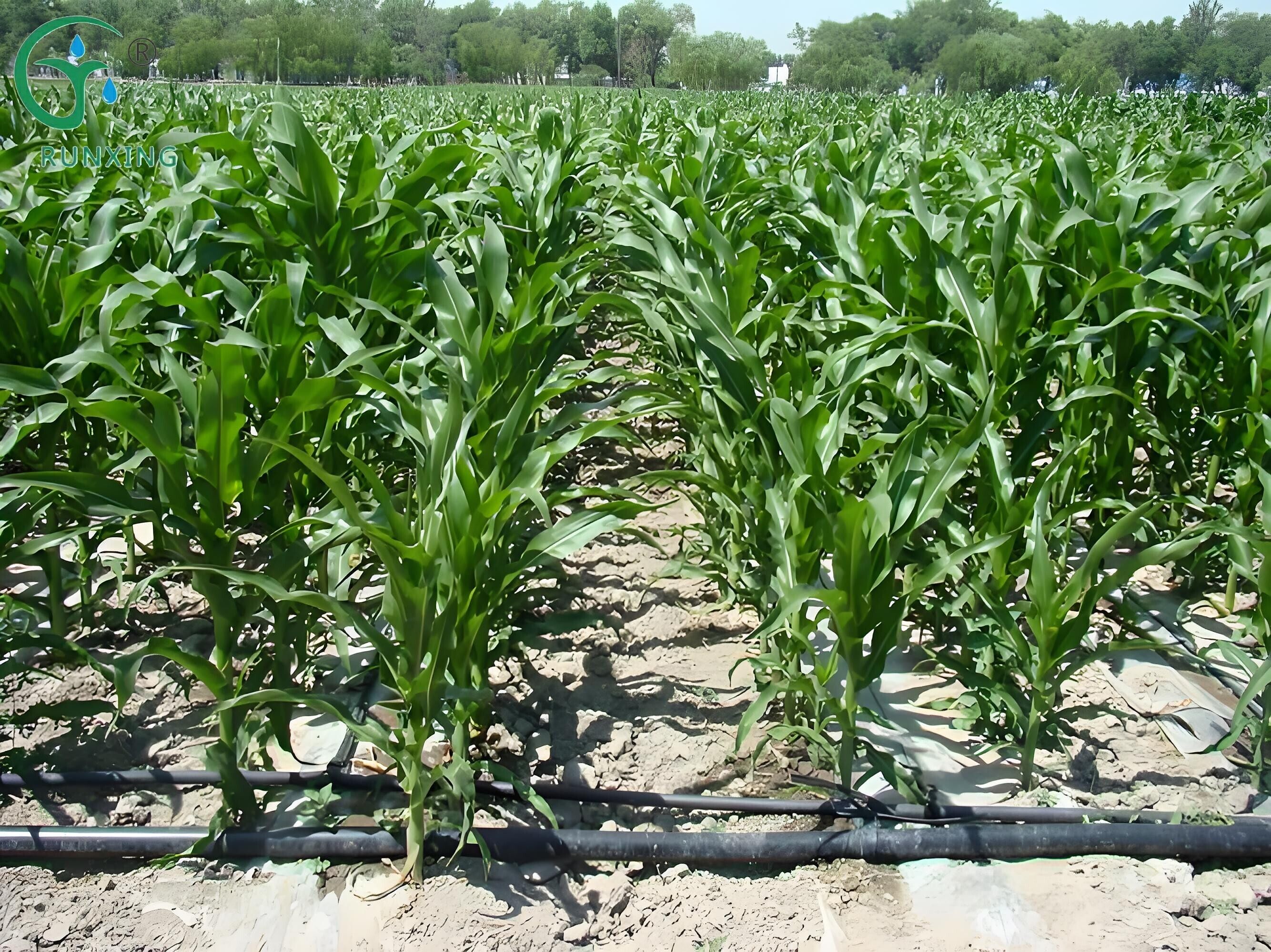irrigation equipment