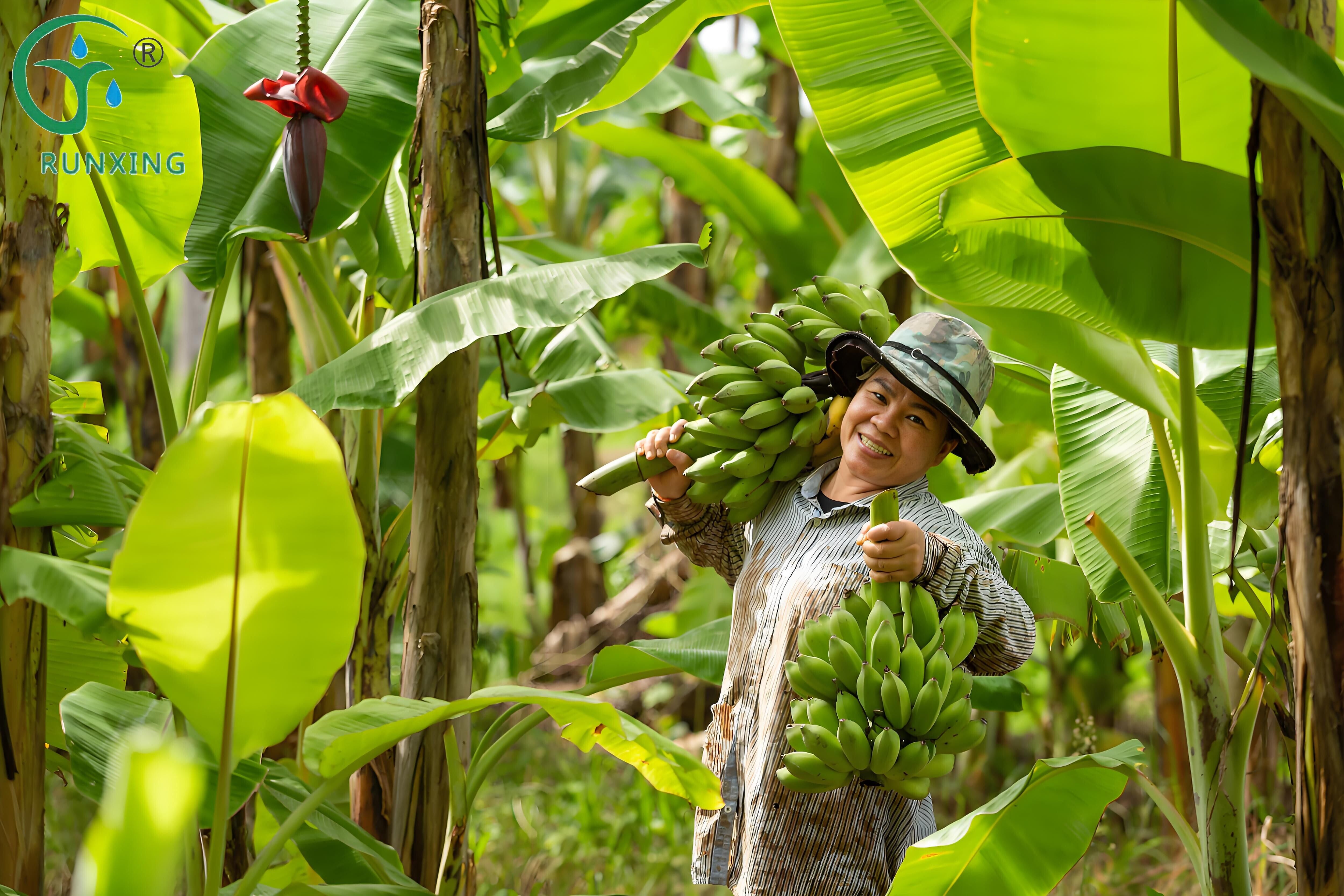 Drip Irrigation Facilities