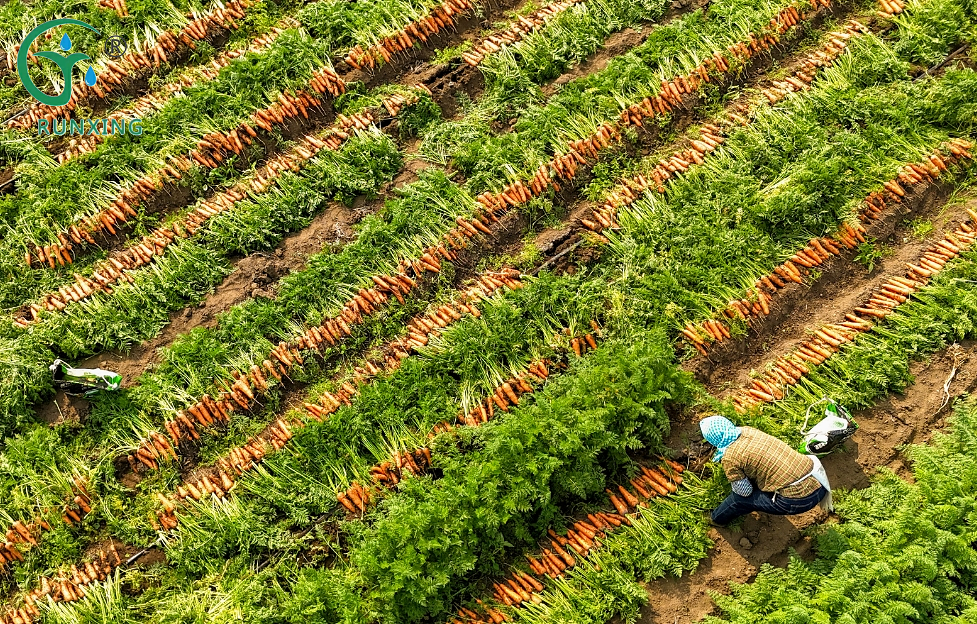 drip irrigation systems
