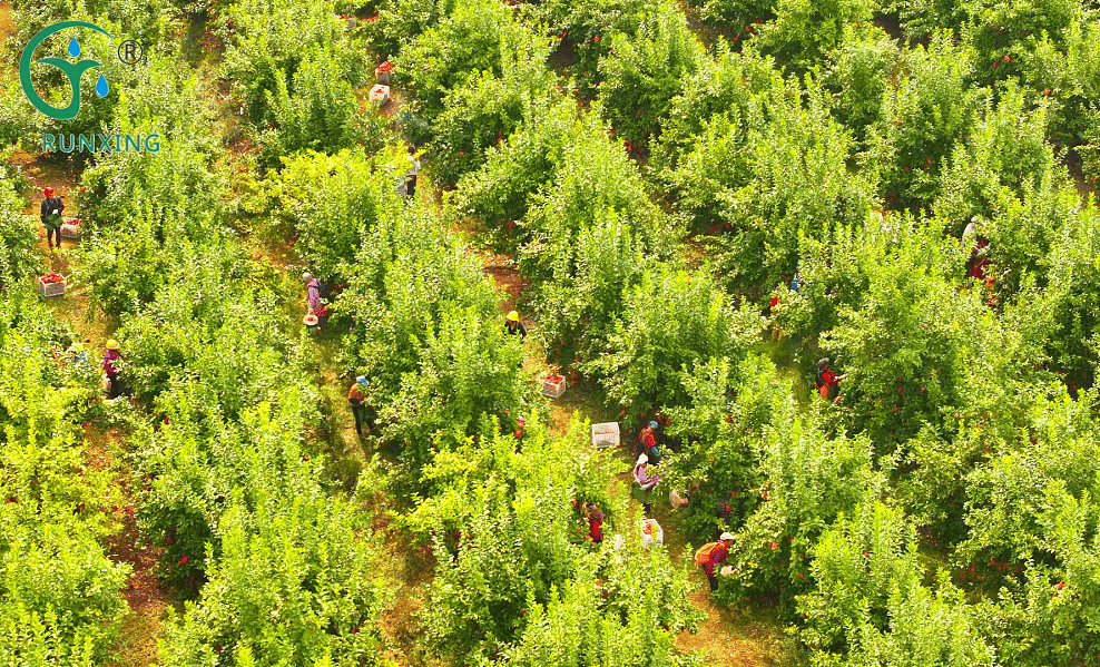 drip irrigation systems