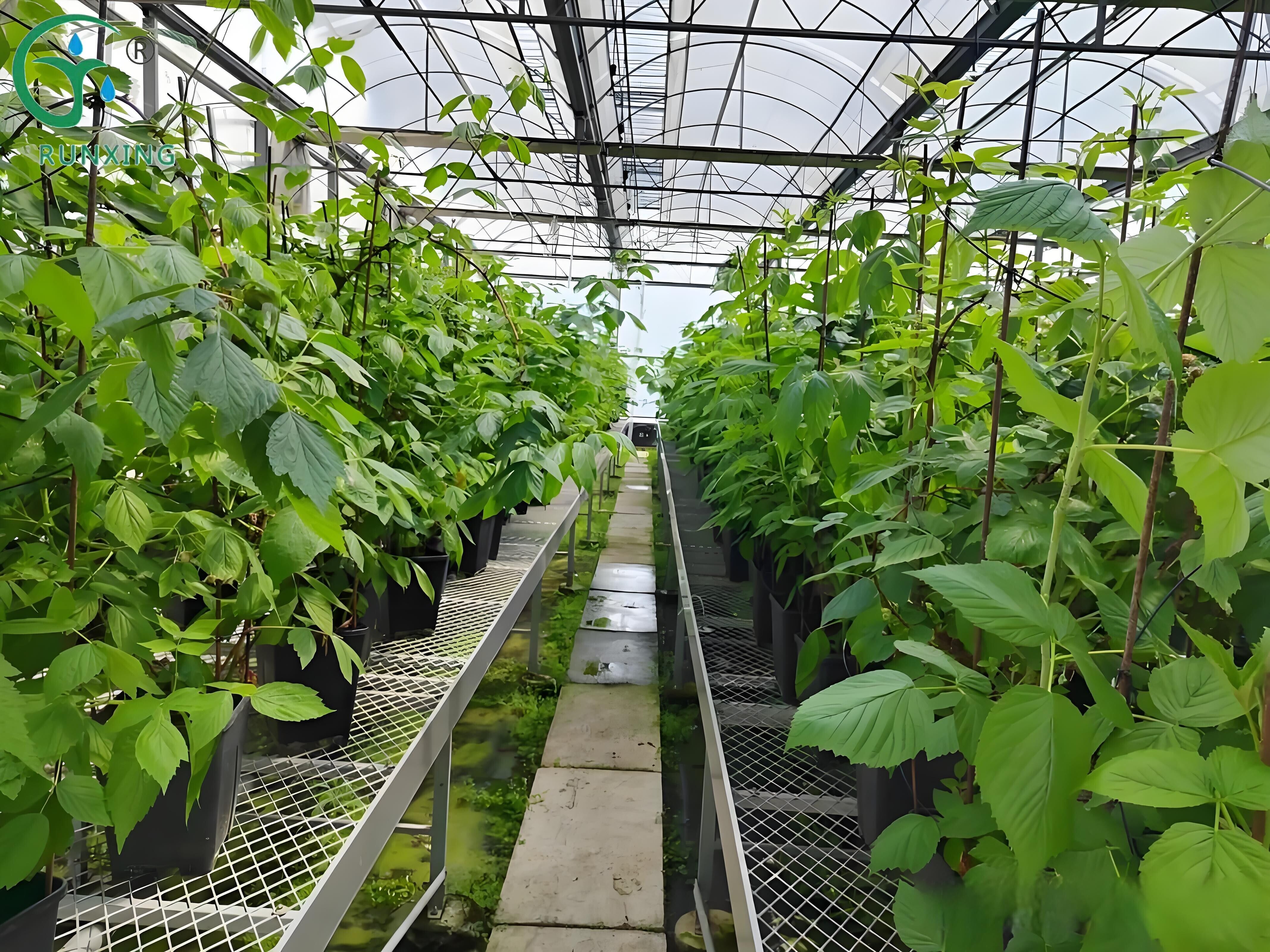 Drip Irrigation Systems
