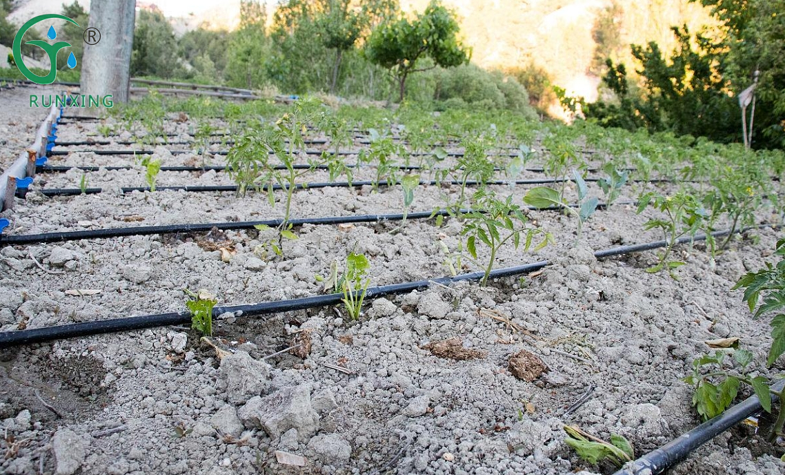 Drip Irrigation