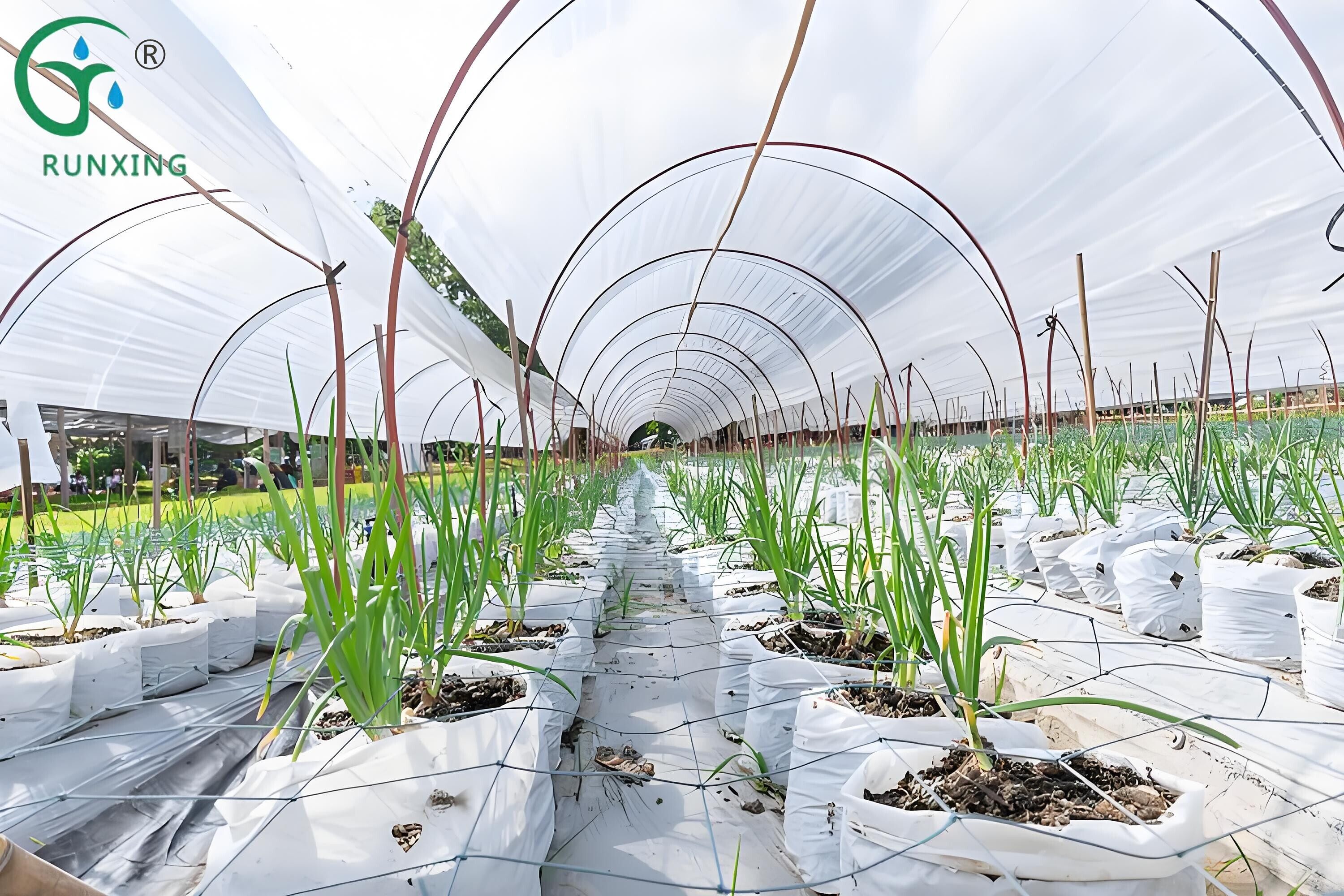 Sustainable Agriculture