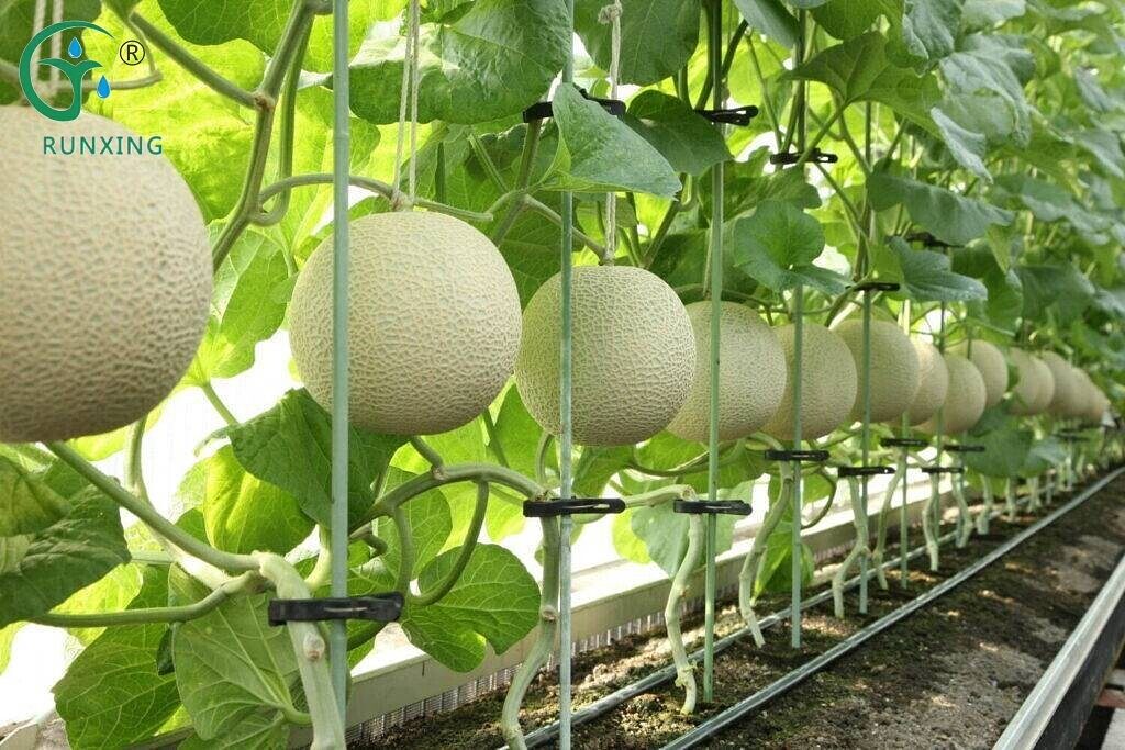water management