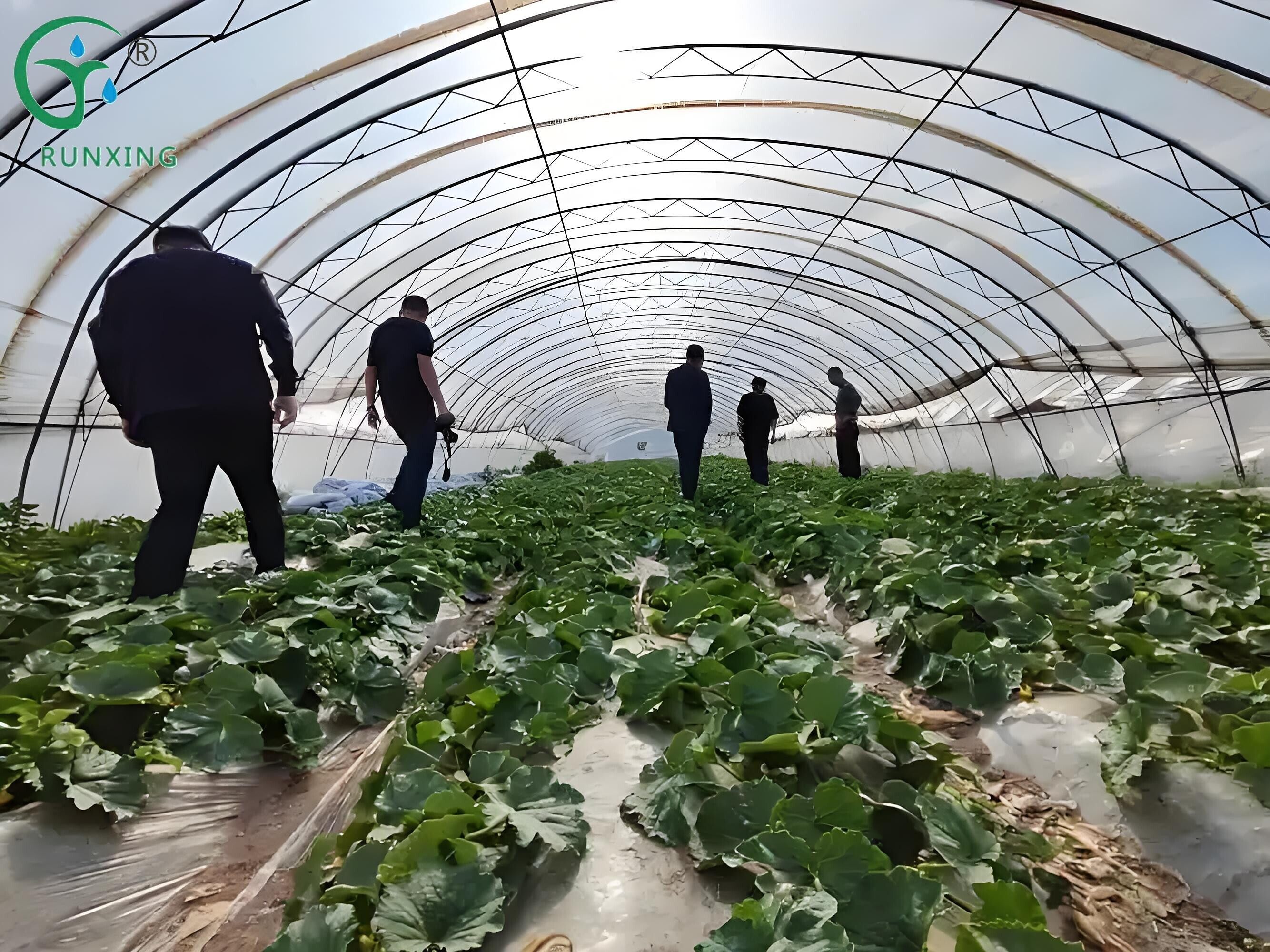 drip irrigation systems