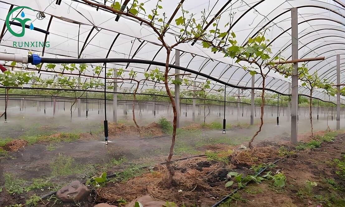  drip irrigation