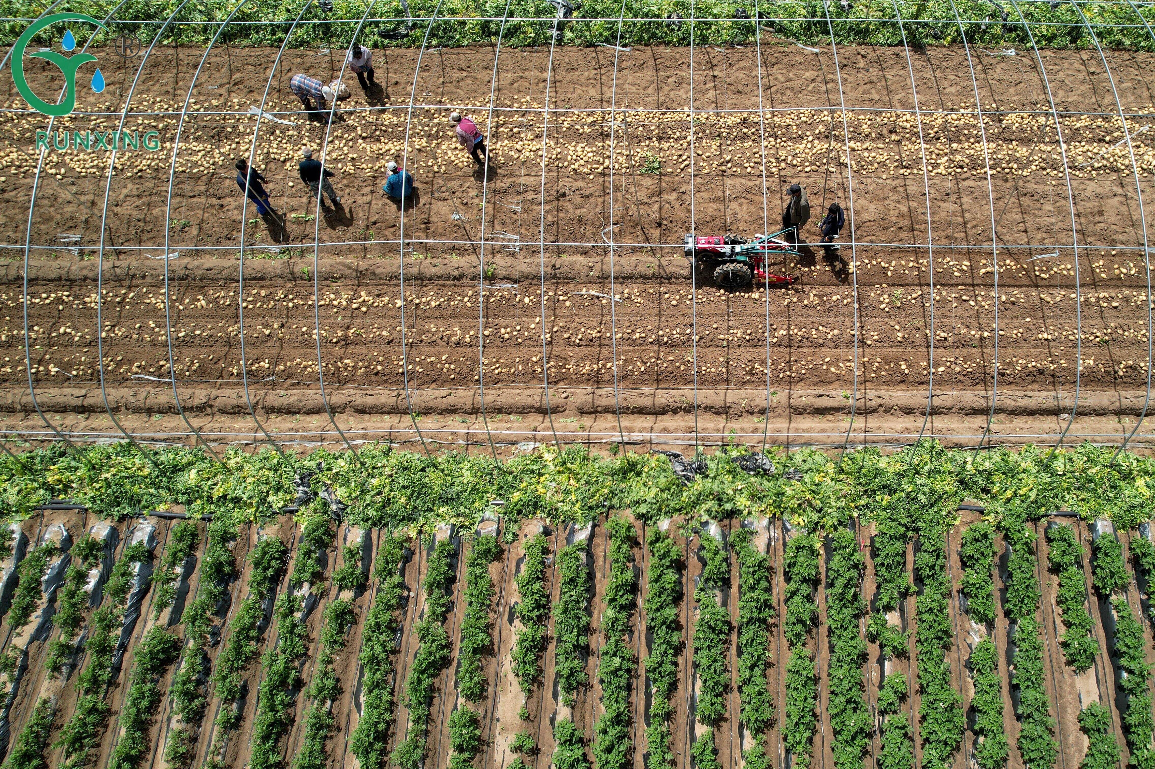  drip irrigation