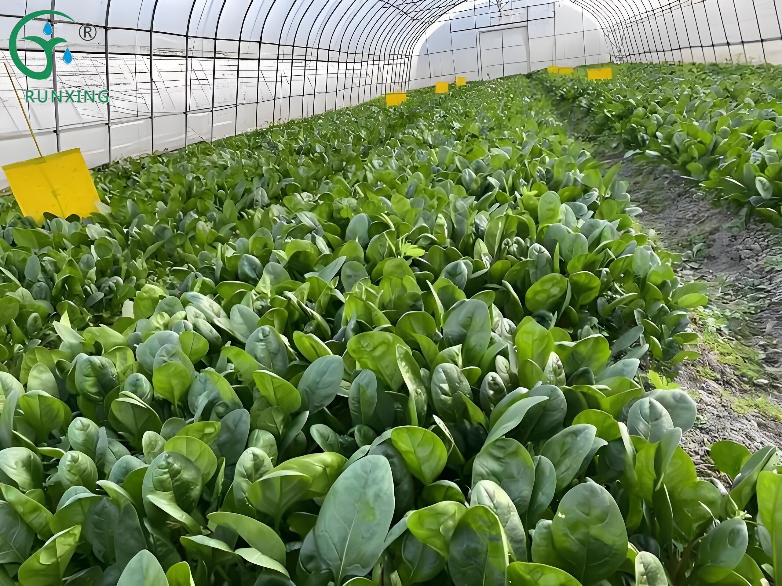 irrigation equipment