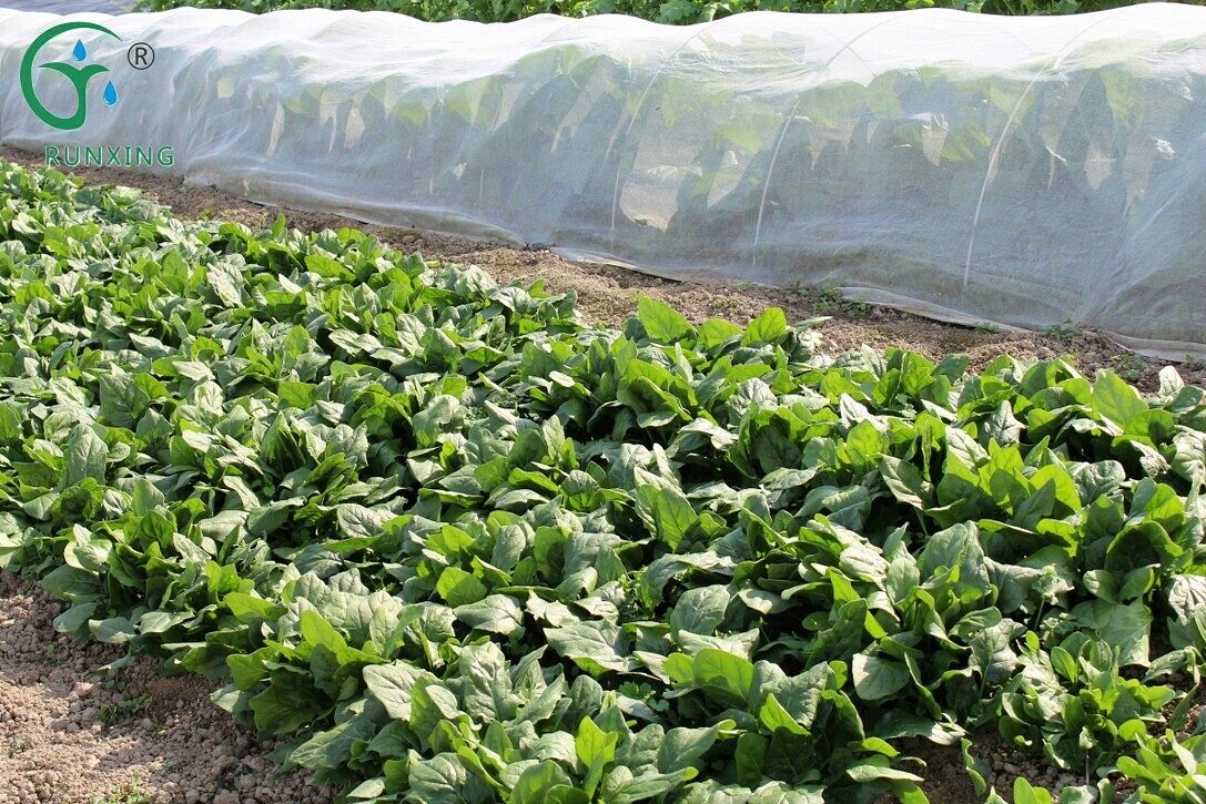 drip irrigation systems
