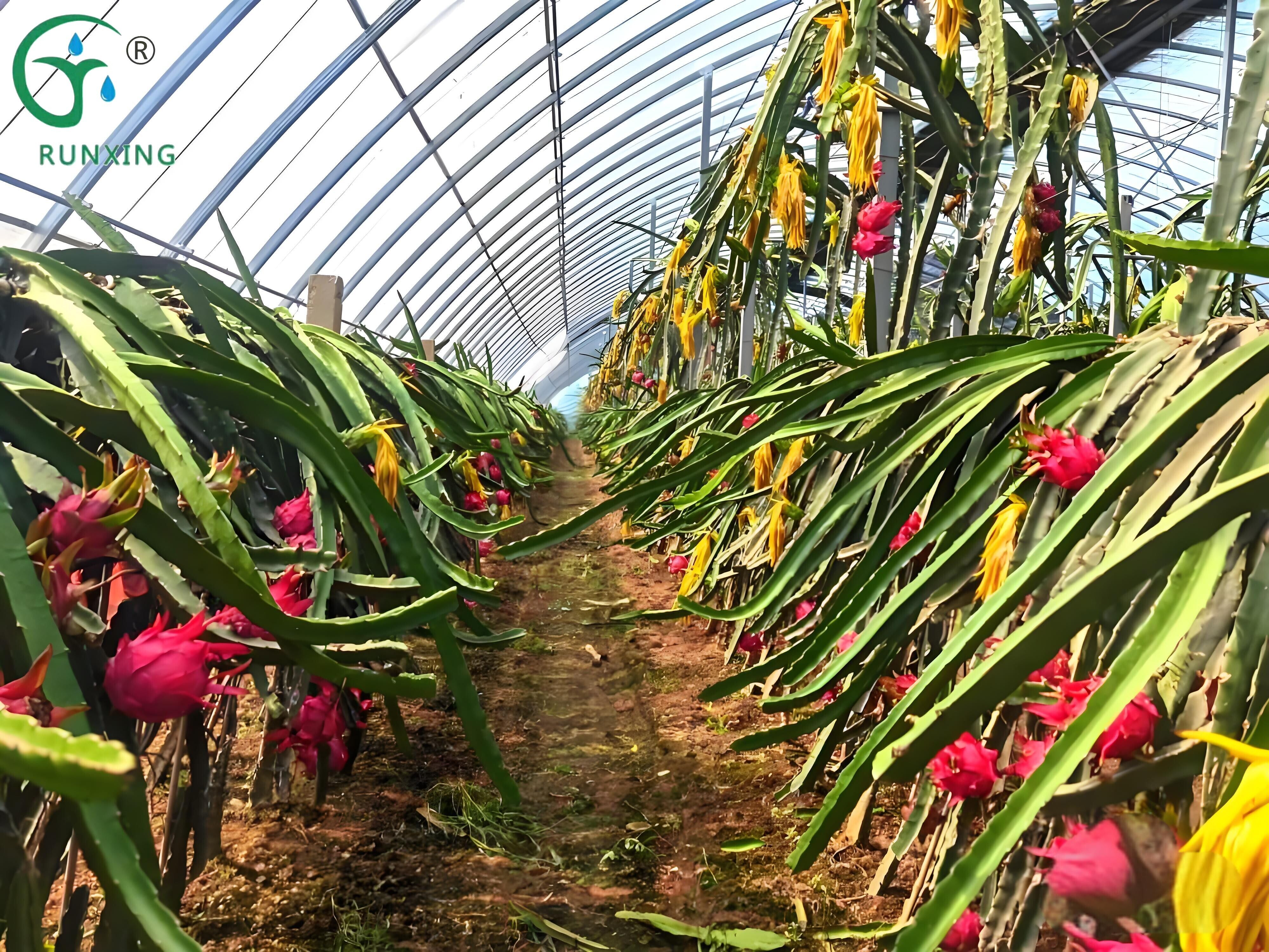 Drip Irrigation