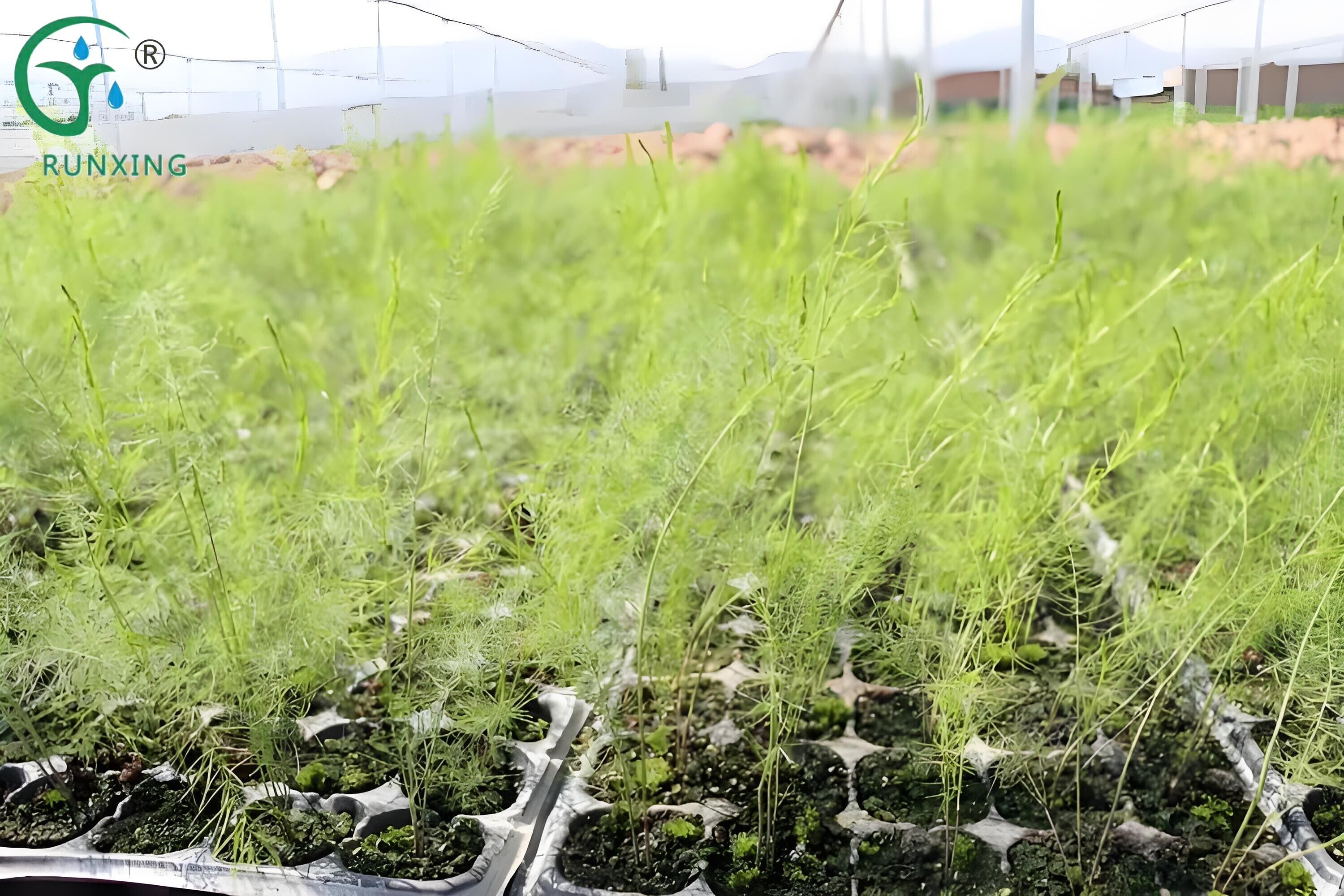 drip irrigation systems