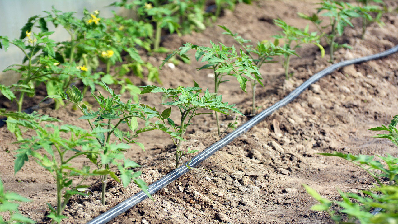 Drip Irrigation Systems