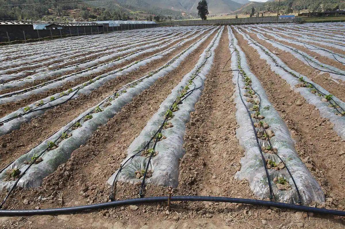 Drip Tubing