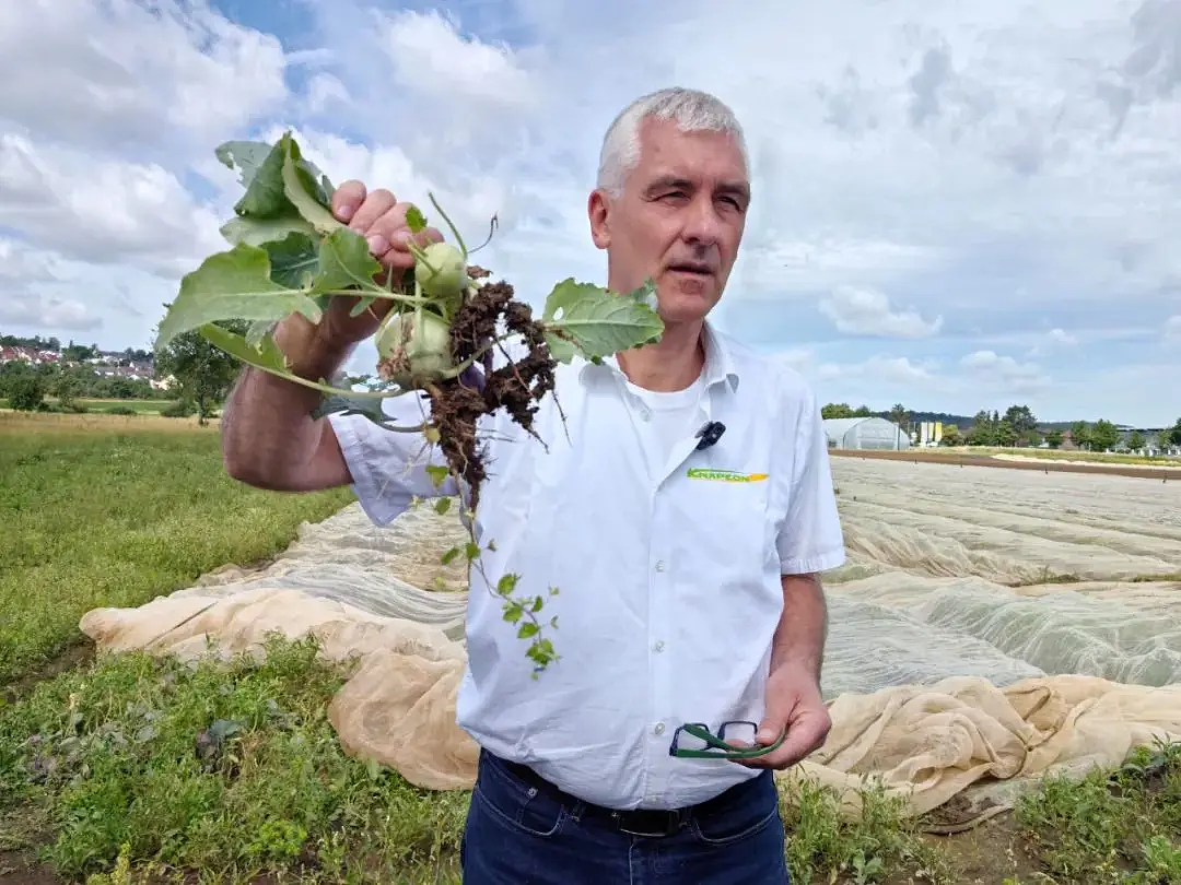 European drip irrigation