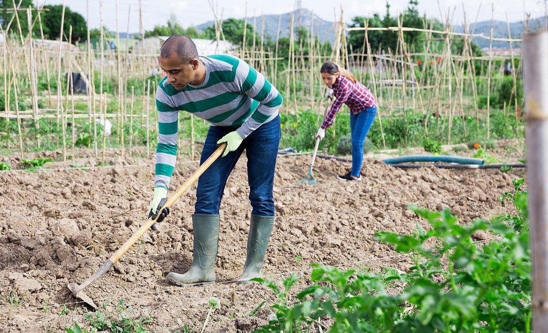 Drip Irrigation System