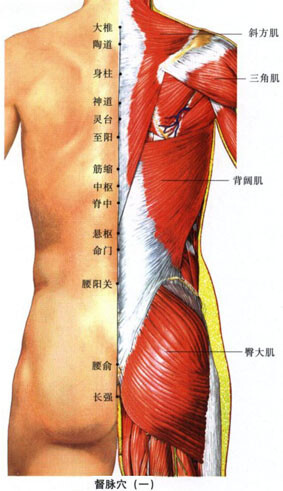 e75f310524ee0135867930a013b22613_20141030143029986.jpg 1719276262664026531333021696.jpg