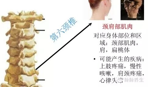 eeb71cb1725d18a2622d496938a52203_20170414101609604.jpg 1719278596664036324223361024.jpg