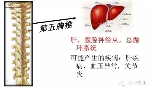 d4f9afa07ac4c652b4149057e899709c_20170414101728598.jpg 1719278646664036530457288704.jpg