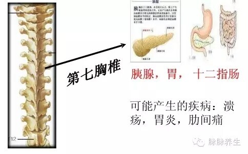 702c3f02fa71c7bdb1b5718ca0f294d3_20170414101750883.jpg 1719278661664036595389308928.jpg