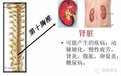 fe0ba7524a6602fa17e756ff551d982a_20170414101821615.jpg 1719278686664036700645367808.jpg