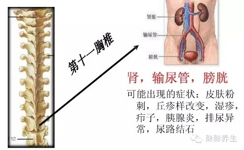 e5692f6baf667dc802e6d86f81576434_20170414101832521.jpg 1719278695664036737160978432.jpg