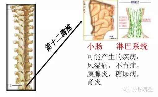 f57d019d42f76fd9acf178c0efa0737a_20170414101841856.jpg 1719278704664036774754525184.jpg