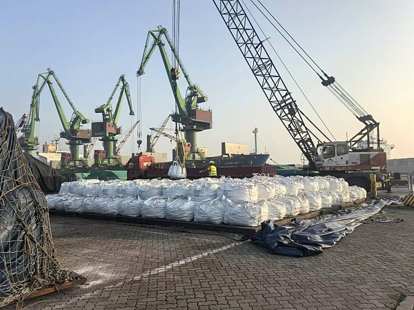 微信图片_2026-01-27_172421_665