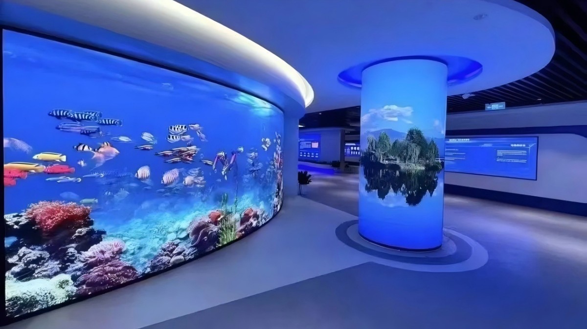 _2_LED display_来自小红书网页版 _2_LED display_来自小红书网页版
