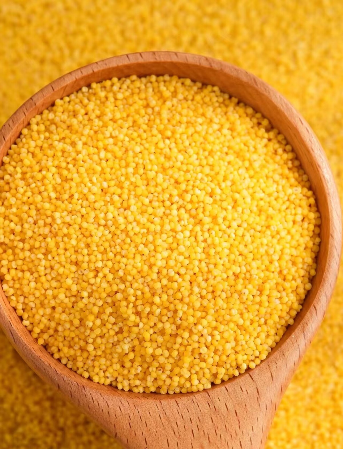 1758506550828570288392749056.jpg 1758506550828570288392749056.jpg