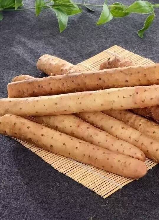 青岛科兰德机械超细粉碎机，释放山药的全部潜力！