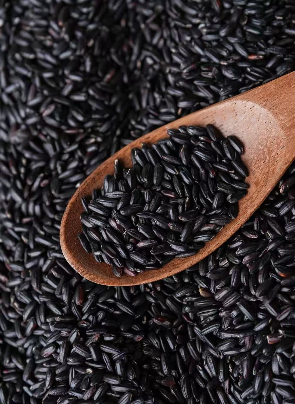 1762141341843815707435909120.jpg 1762141341843815707435909120.jpg