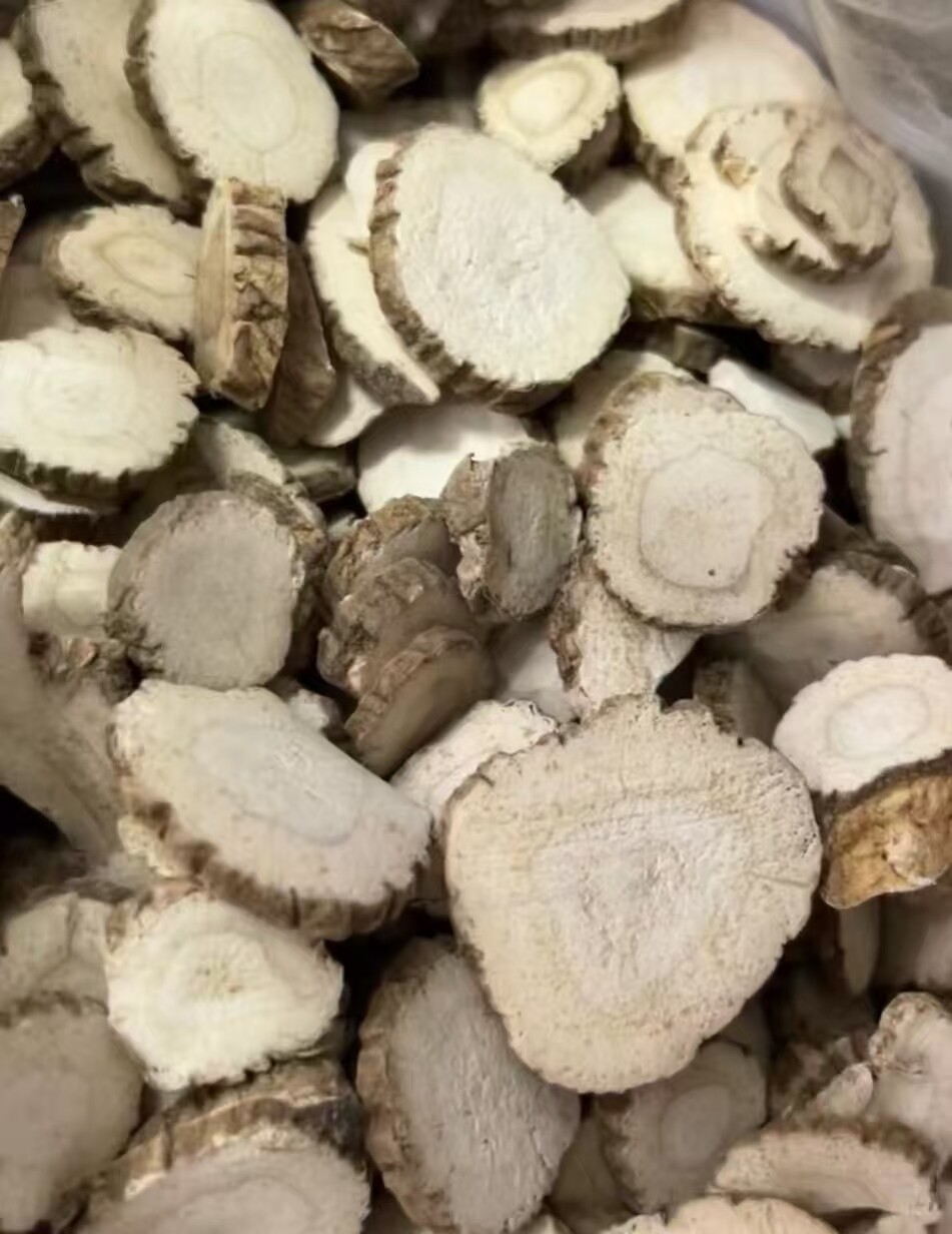 超细研磨技术提升白芷加工品质