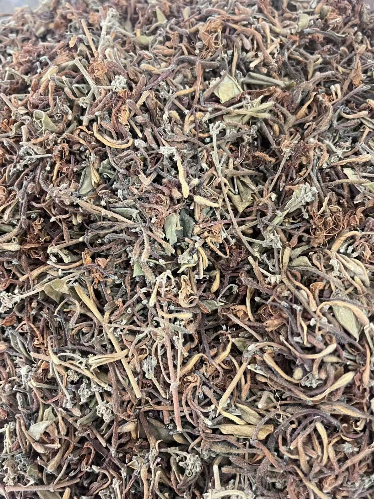 超细研磨技术最大限度发挥金银花的潜力