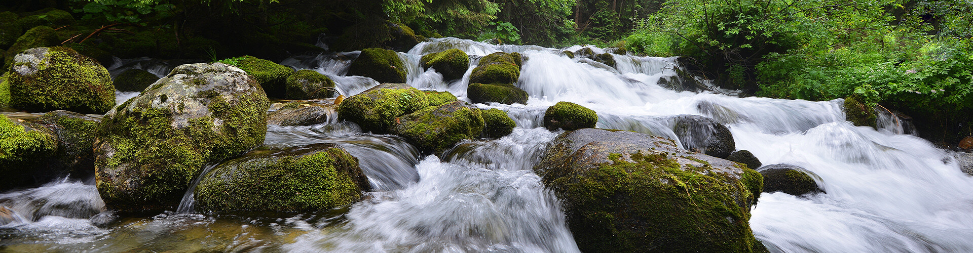 ING_19077_09784.jpg