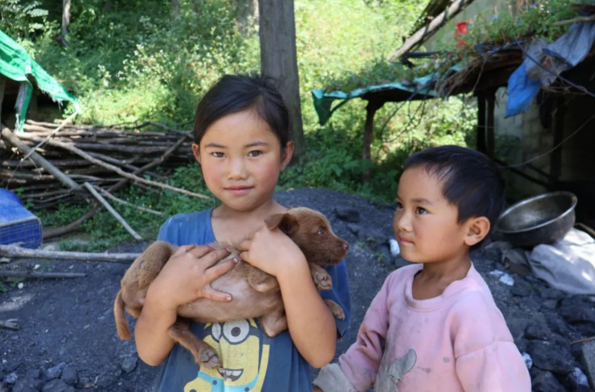 爱的传递，温暖童心 —— 多方携手助力事实无人抚养儿童