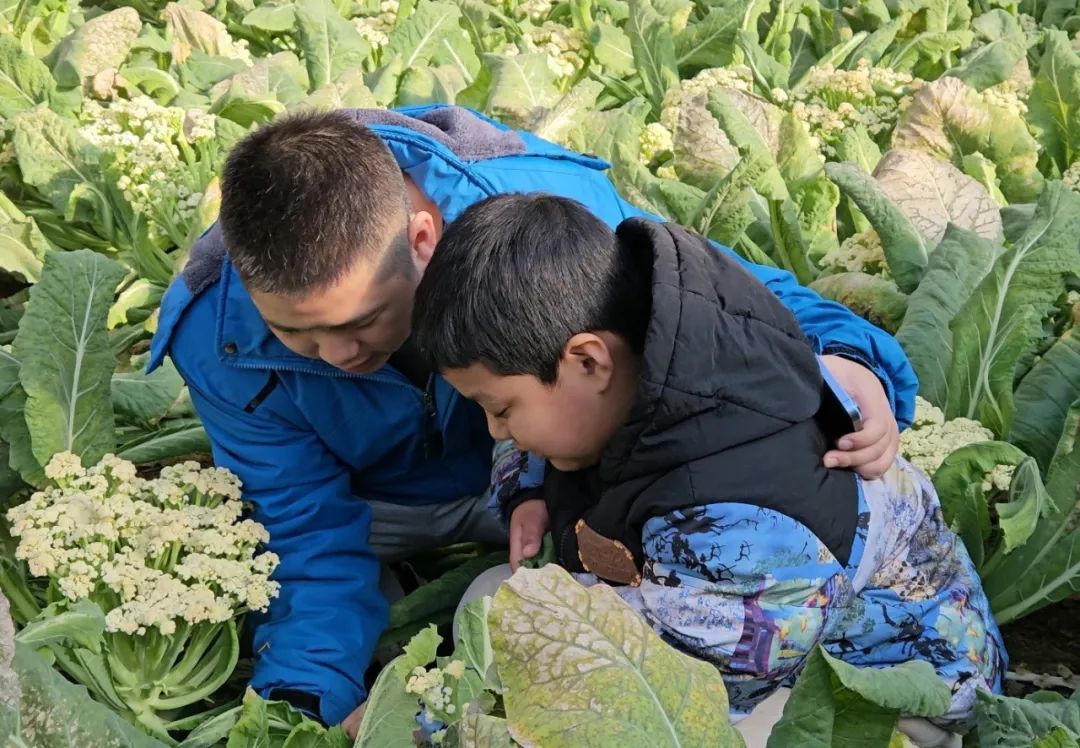 1743494737765606177608351744.jpg 图片