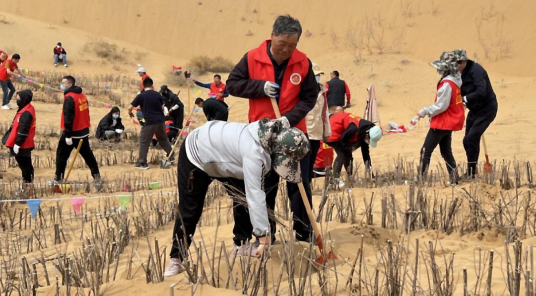 1745165878772615451707179008.png 1745165878772615451707179008.png