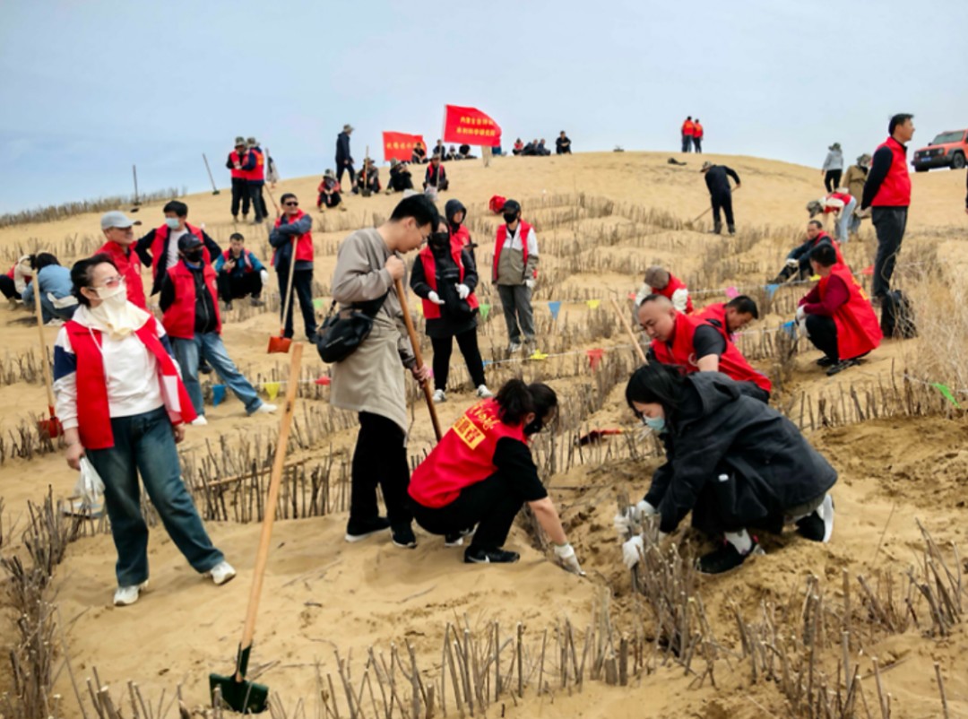 1745165878772615451740725248.png 1745165878772615451740725248.png