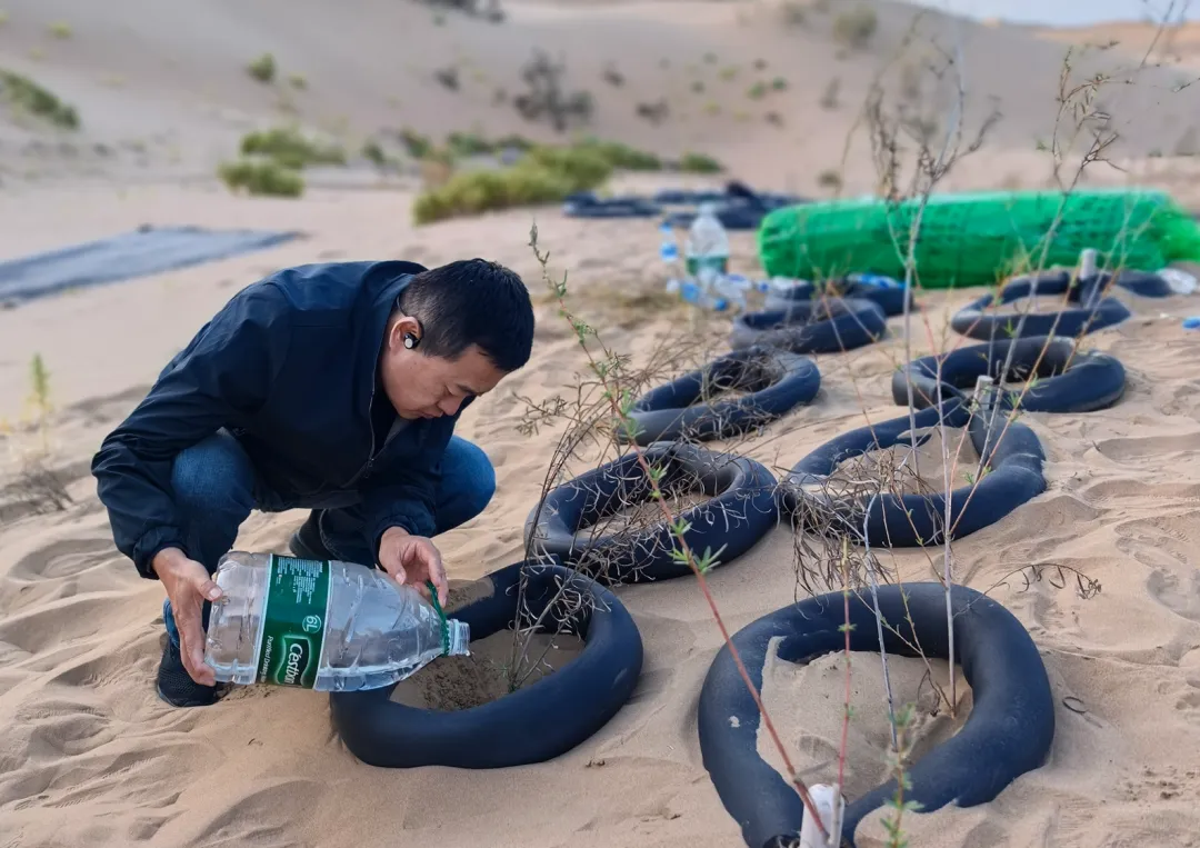 研发沙障锁“黄龙”，治沙行动迎国庆——揭榜挂帅联合治沙研发团队技术再上新高峰
