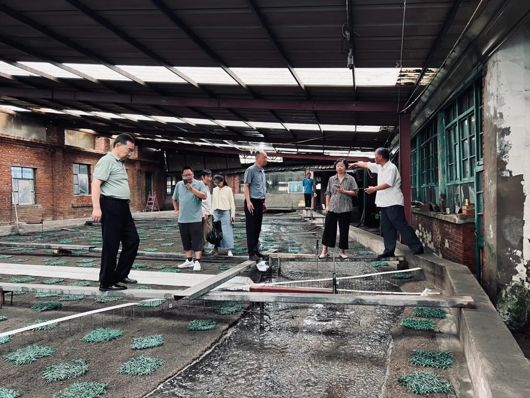 1760076172835153758531444736.png 图片