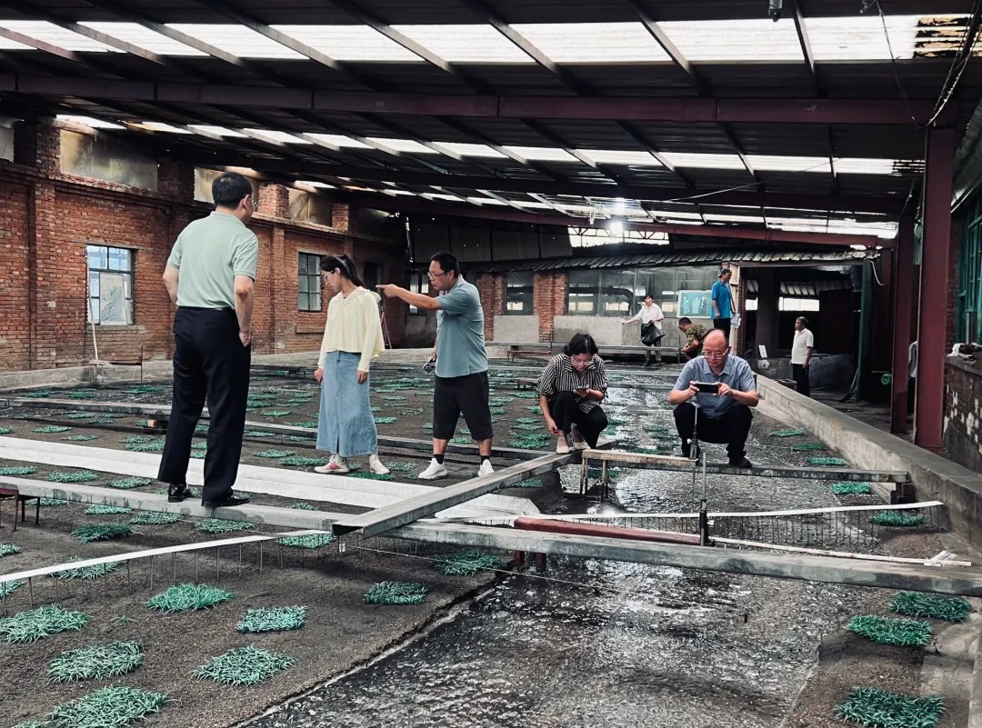 1760076172835153758539833344.png 图片