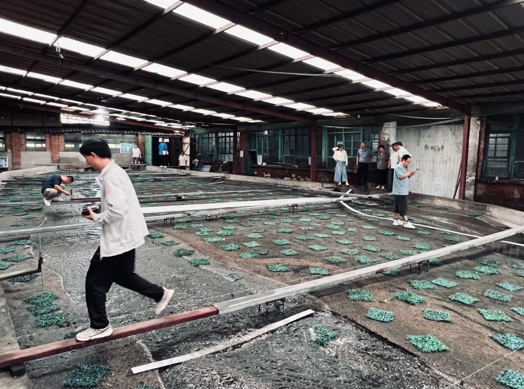 1760076172835153758539833346.png 图片