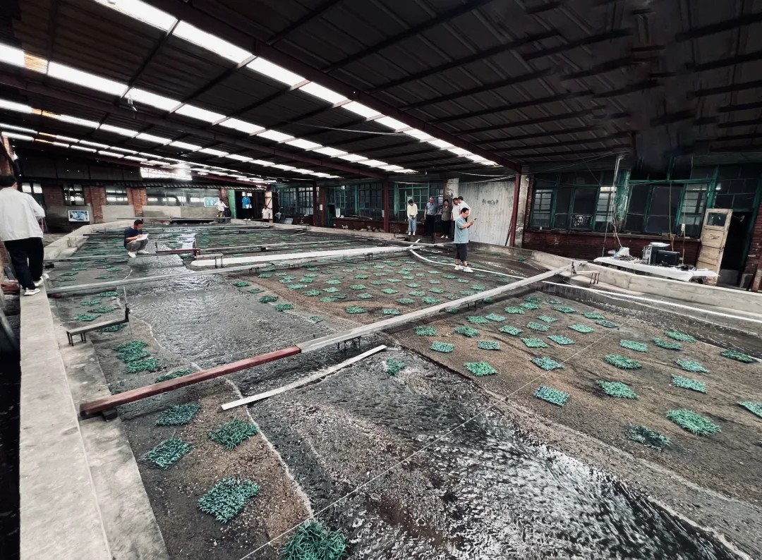 1760076172835153758544007168.png 图片