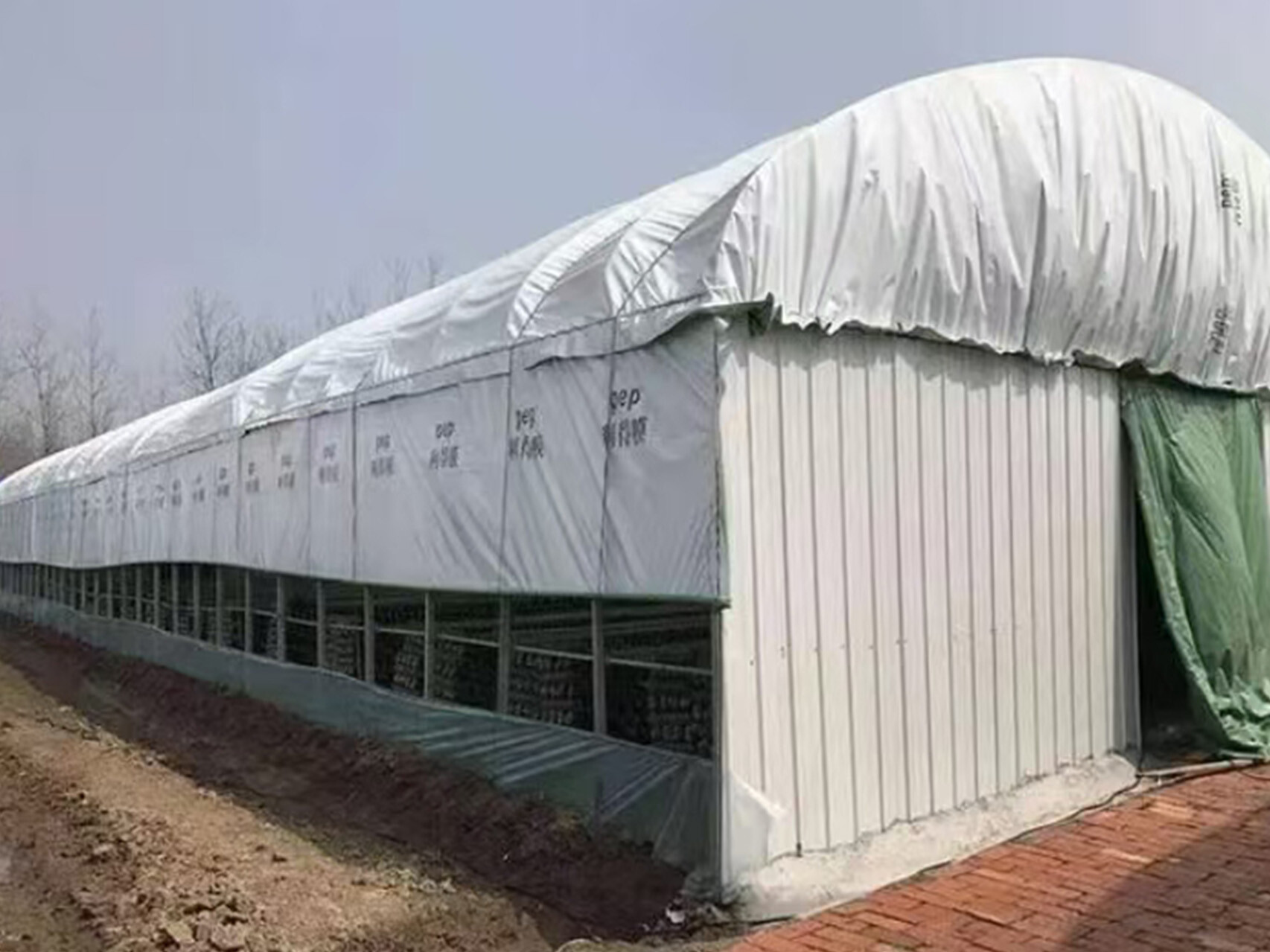 温室大棚棉被正确使用方法的介绍